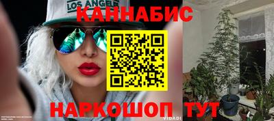 индика Заволжье