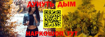 индика Заволжье