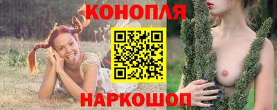 индика Заволжье