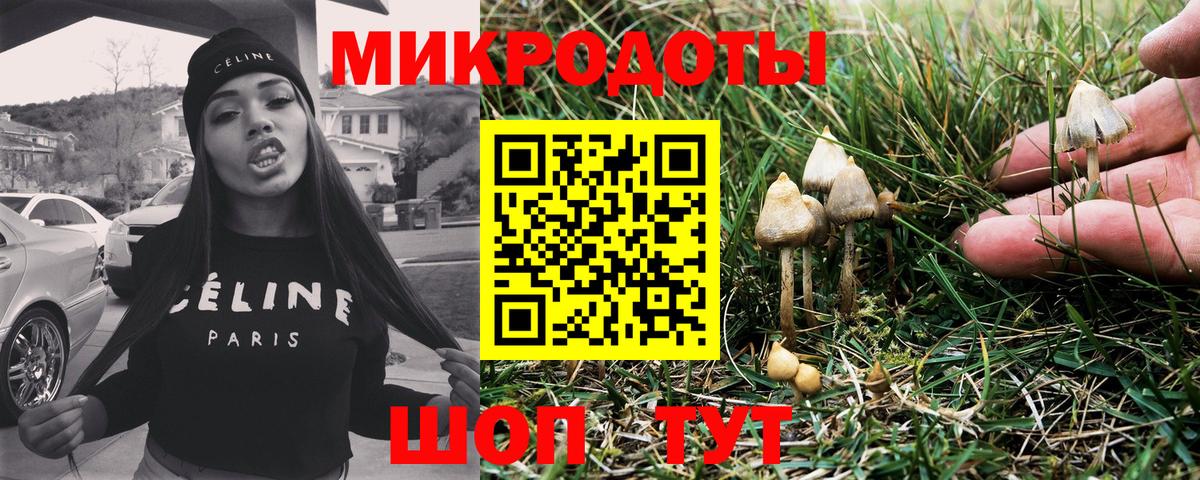 Галлюциногенные грибы Psilocybine cubensis  Вход с VPN  Усолье-Сибирское 