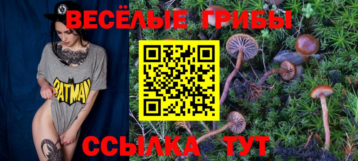 Галлюциногенные грибы ЛСД Усолье-Сибирское